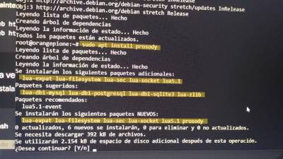 Gestión de paquetes para la instalación de Prosody